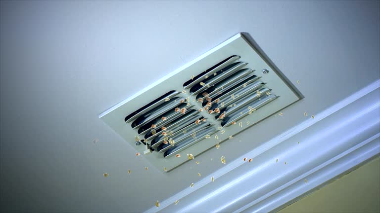 Best Residential Air Duct Cleaning  in Loretto, PA