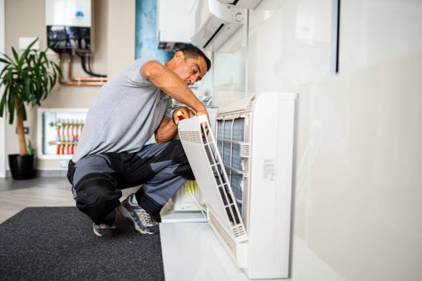Air Duct Mold Removal in Loretto, PA