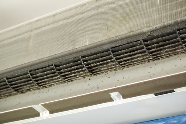 Best Ventilation Cleaning Services  in Loretto, PA
